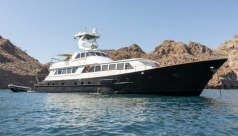 Nautilus Gallant Lady