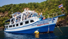MV Dolphin Queen