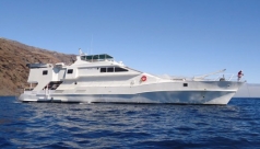 MV Southern Sport