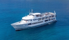 Bahamas Aggressor II