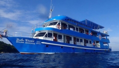 The Smiling Seahorse