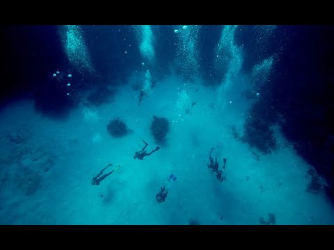 Diving in Belize Video