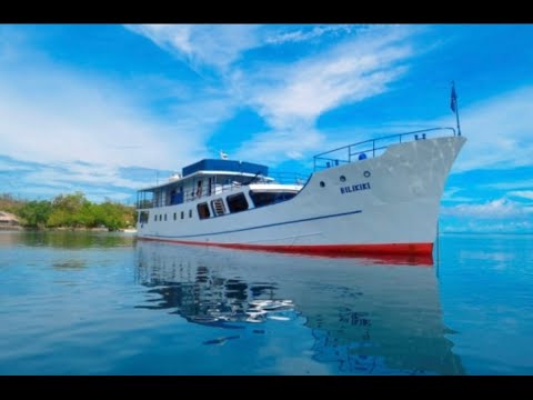 Bilikiki Liveaboard Dive Video