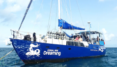 Coral Sea Dreaming