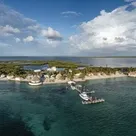 Click to enlarge image