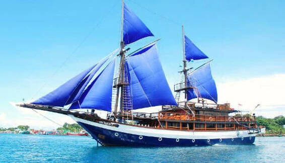 Click to enlarge image