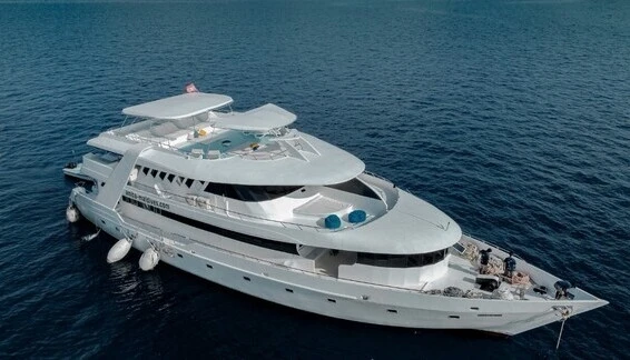 Click to enlarge image