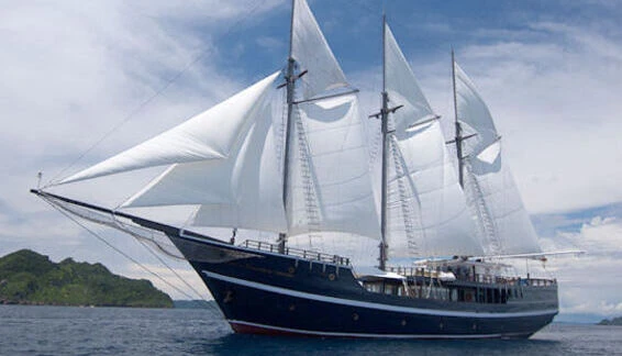 Click to enlarge image