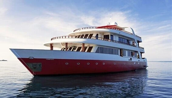 Click to enlarge image