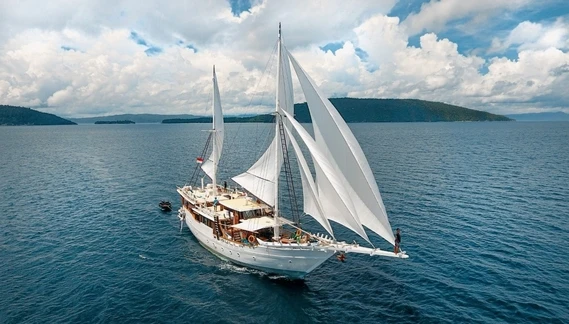 Click to enlarge image