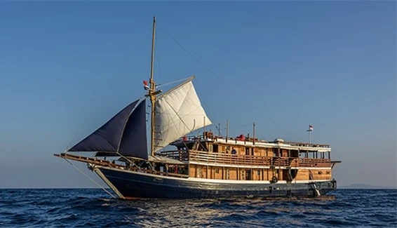 Click to enlarge image