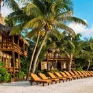 Click to enlarge image