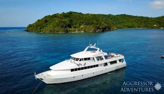 Click to enlarge image