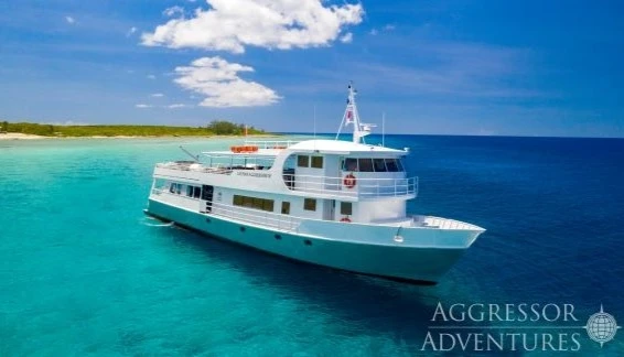 Click to enlarge image