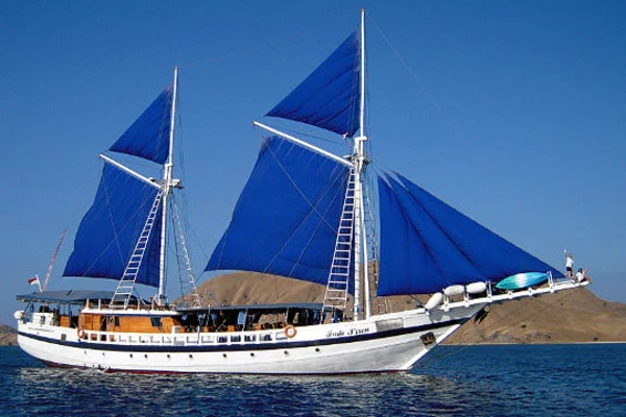 Click to enlarge image