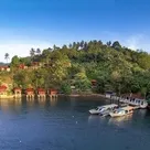 Click to enlarge image