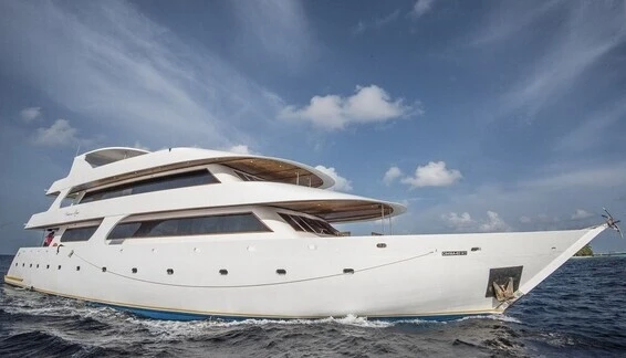 Click to enlarge image