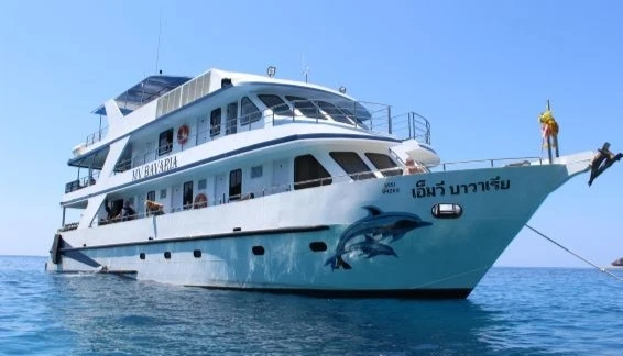 Click to enlarge image