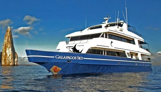 Click to enlarge image