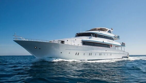 Click to enlarge image