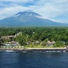 Click to enlarge image