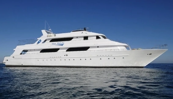 Click to enlarge image