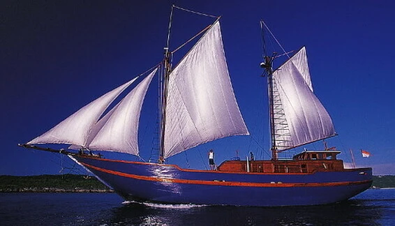 Click to enlarge image