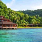 Click to enlarge image