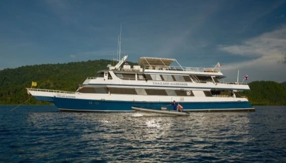 Click to enlarge image