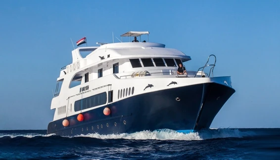 Click to enlarge image