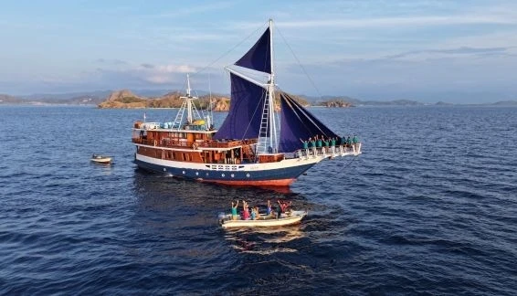 Click to enlarge image