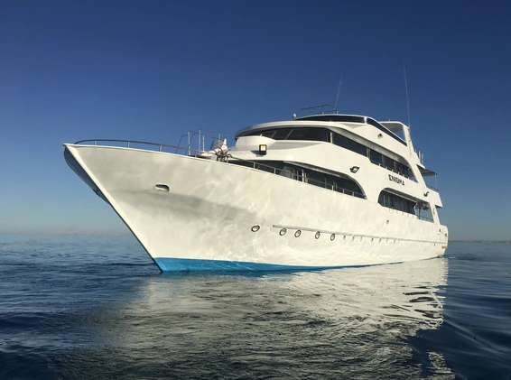 Click to enlarge image