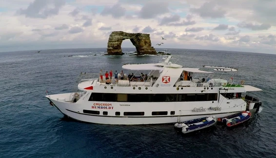 Click to enlarge image