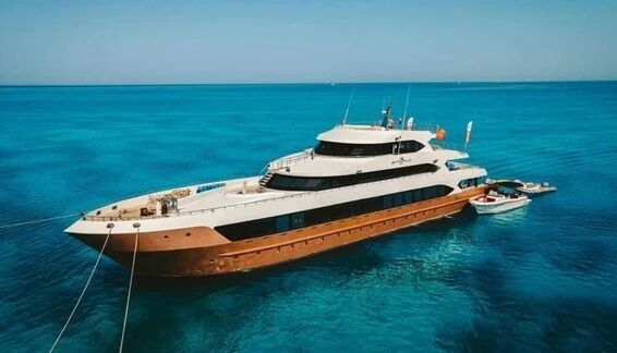 Click to enlarge image