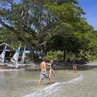 Click to enlarge image