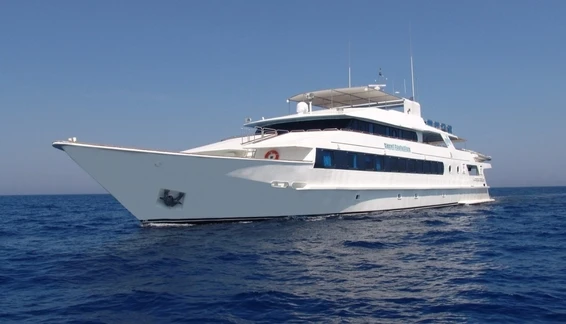 Click to enlarge image