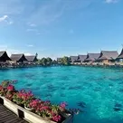 Click to enlarge image