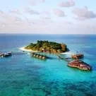 Click to enlarge image