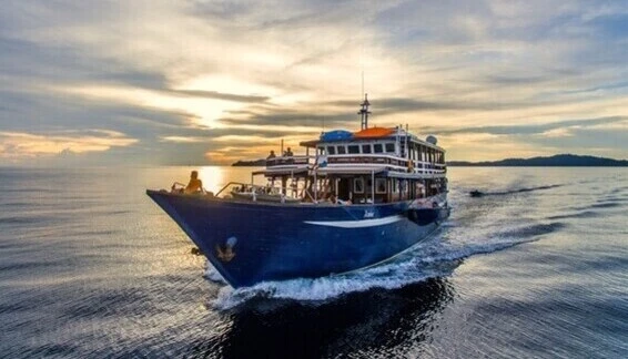 Click to enlarge image