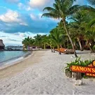 Click to enlarge image