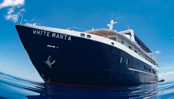 Click to enlarge image