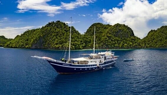 Click to enlarge image