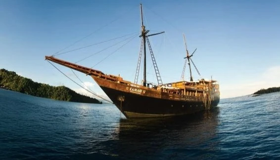 Click to enlarge image