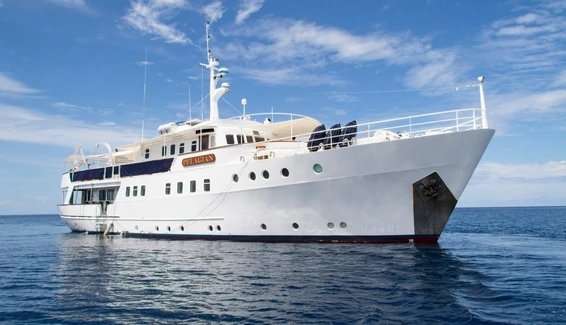 Click to enlarge image