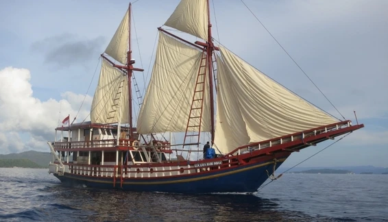 Click to enlarge image