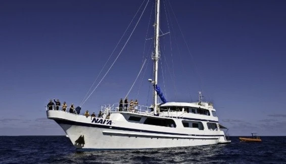 Click to enlarge image