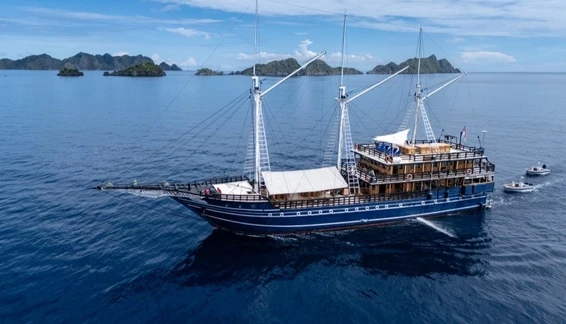 Click to enlarge image