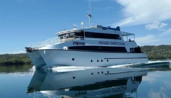 Click to enlarge image