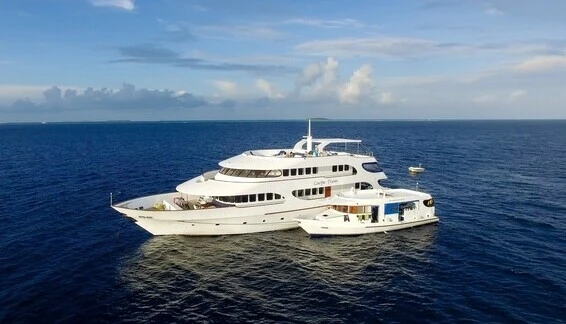 Click to enlarge image