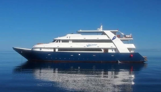 Click to enlarge image